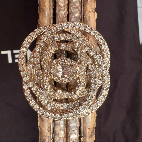 Chanel gold python clutch with crystals locker - Picture 3 of 15